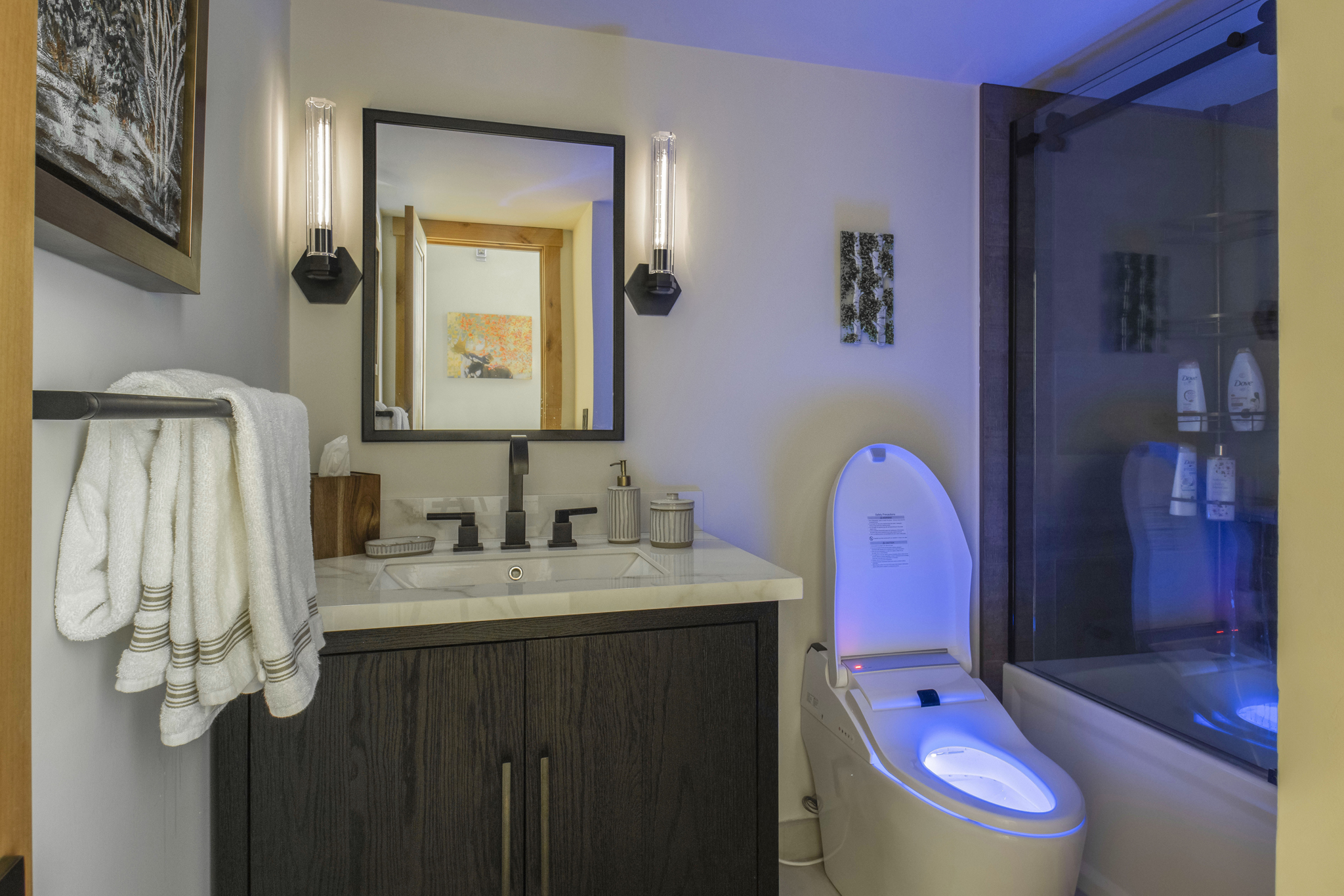 Custom bathroom with Japanese totilet wtih custom lightight photography in Dillion Colorado